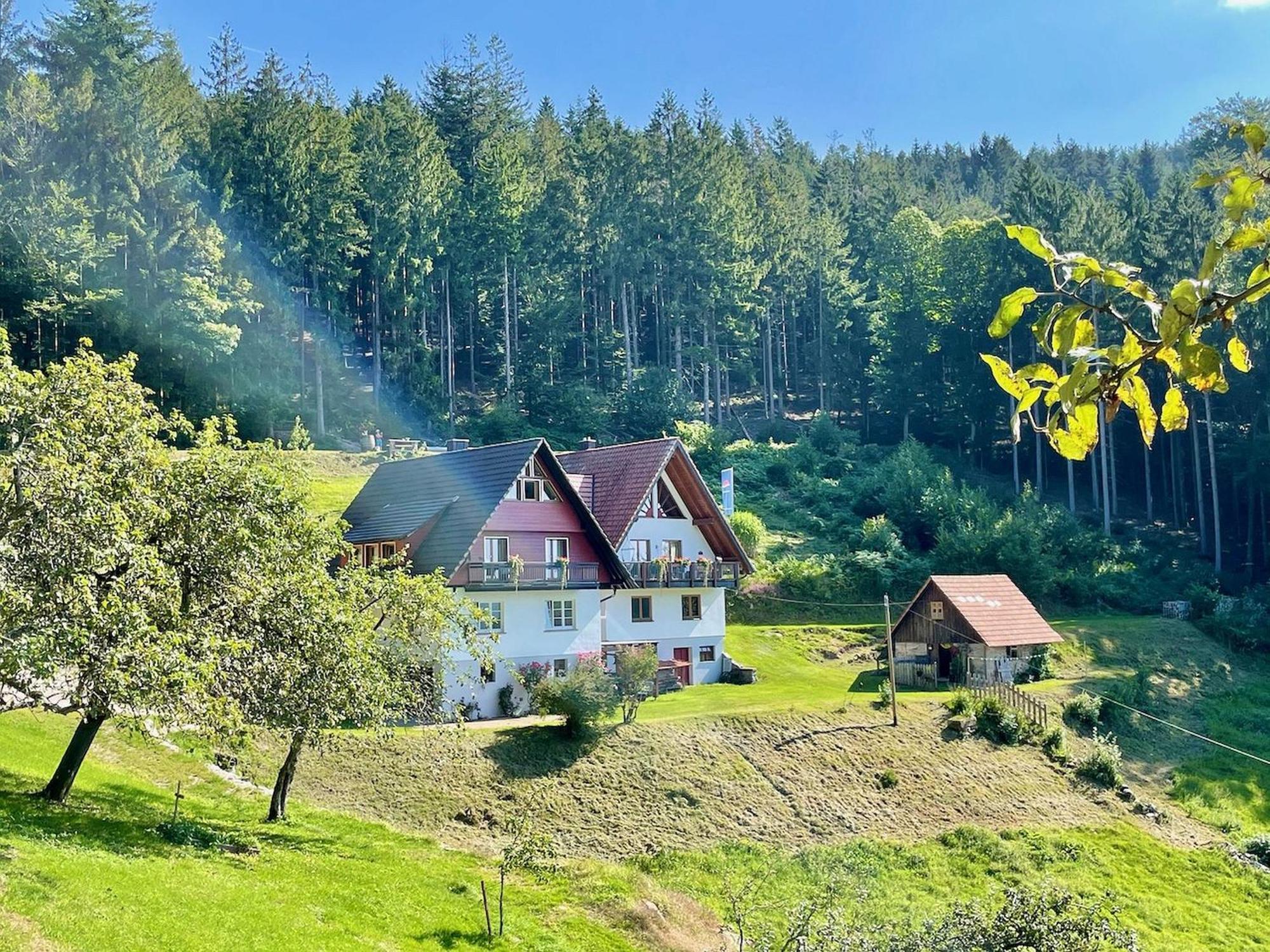 Ferienwohnung Deine  Seebach Exterior foto